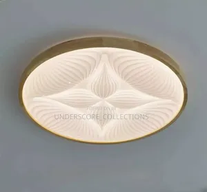 Flat Ceiling Lights