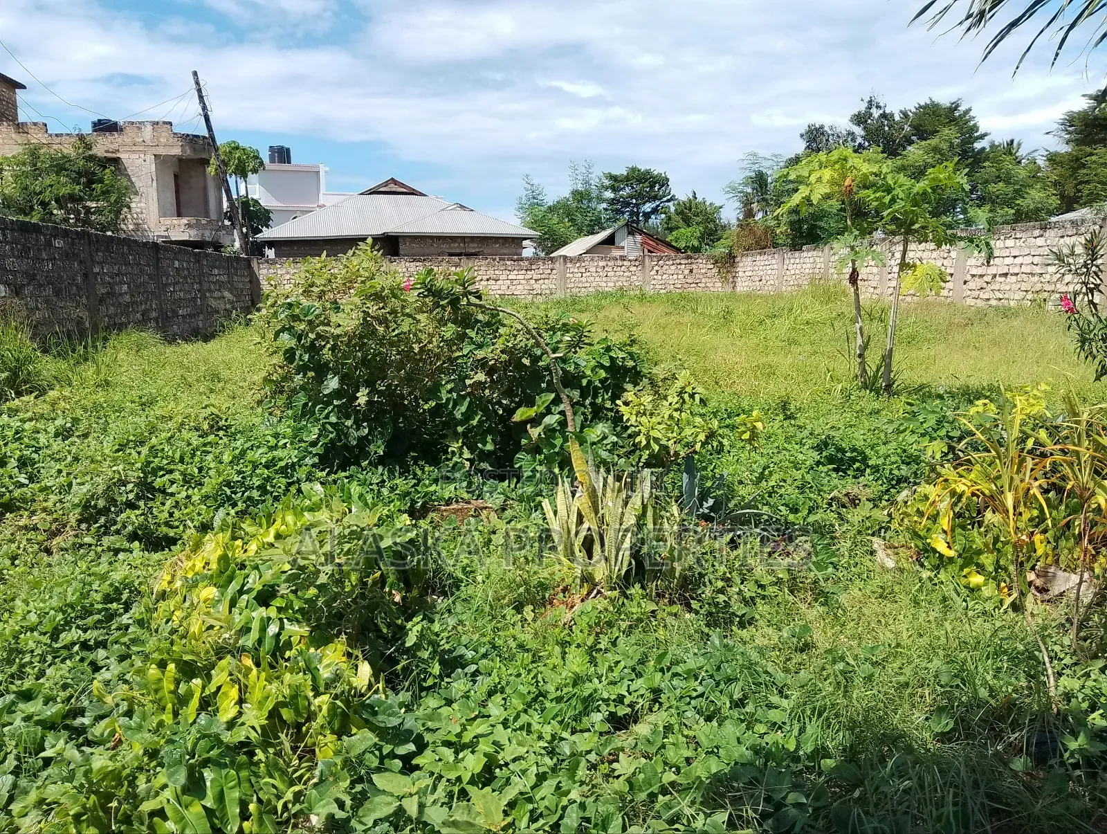 50by100 Prime Plot for Sale in Utange