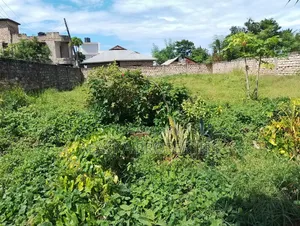 60by110 Prime Plot for Sale in Utange