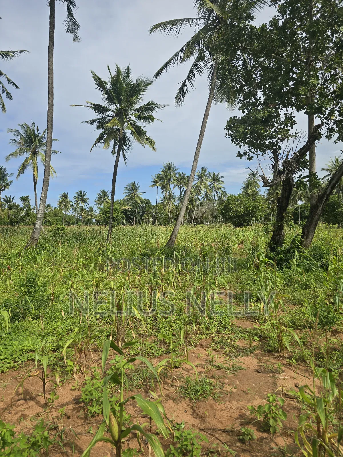 1acre Land Tezo Kilifi for Sale