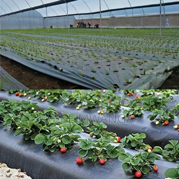 Mulching Polythene Paper - main view