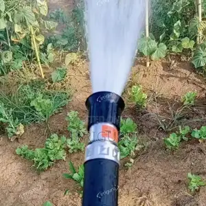Hand _Held _Sprayer