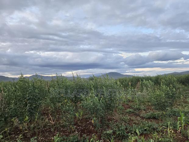 Land on Sale - thumbnail 3