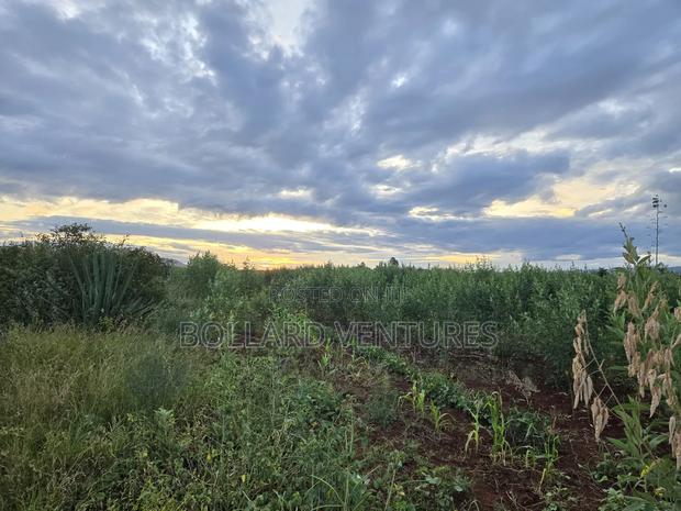 Land on Sale - thumbnail 4