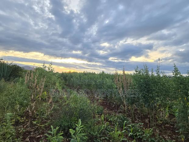 Land on Sale - thumbnail 5