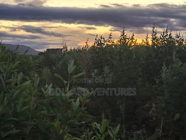 Land for Sale - main view