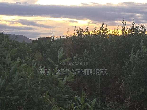 Land for Sale - thumbnail 3