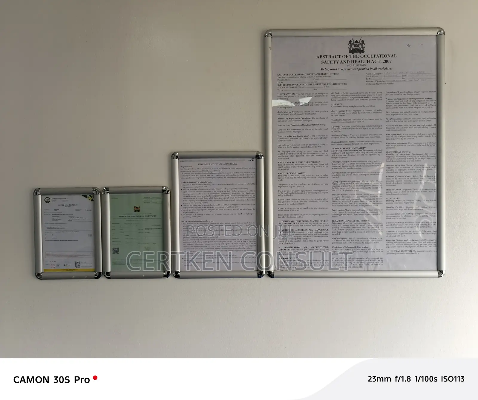 Osha Abstract Framed