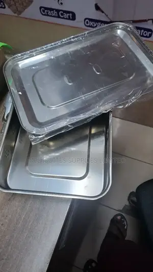 Stainless Steel Instrument Tray.
