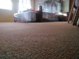 Brown Delta Durable And All Space Wall To Wall Carpets