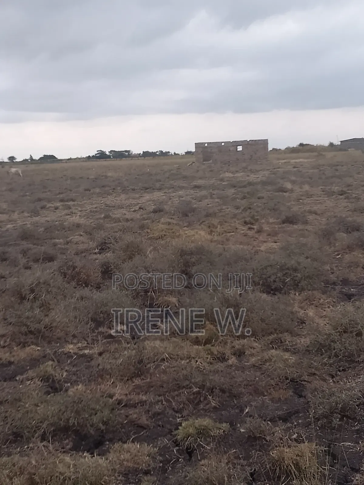 50*100 Plot in Malaa at Muting'A