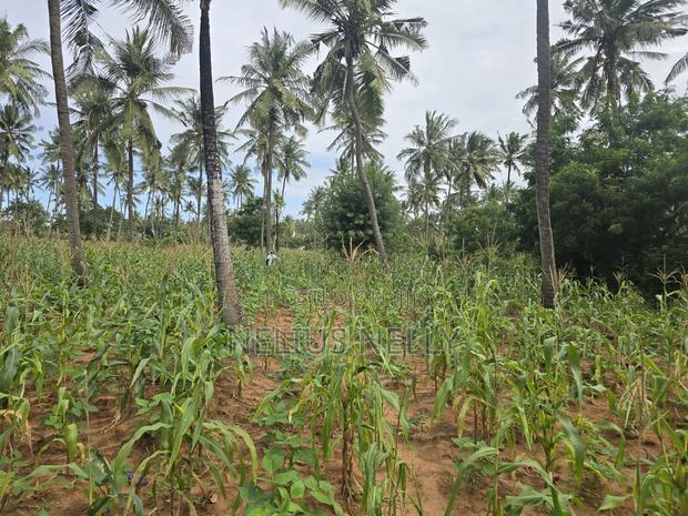 1acre for Sale Kituoni Kilifi - thumbnail 2