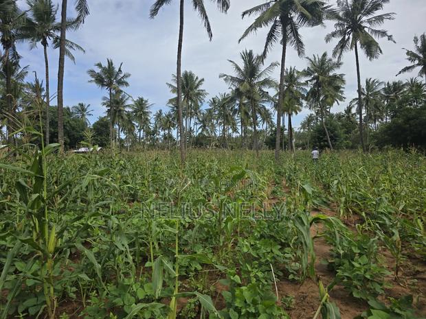 1acre for Sale Kituoni Kilifi - thumbnail 3