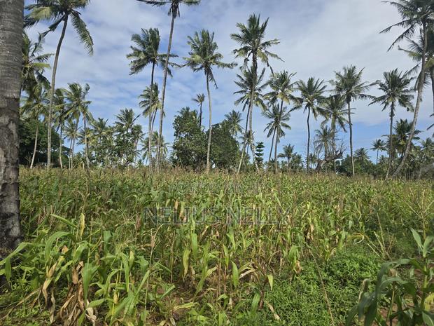 1acre for Sale Kituoni Kilifi - thumbnail 4