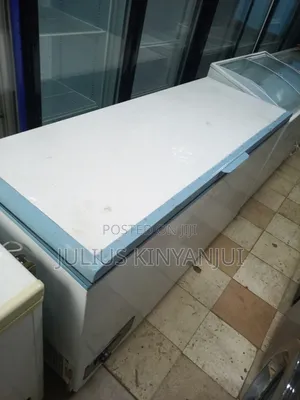 Commercial Size Deep Freezer