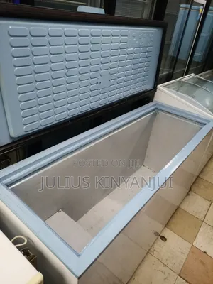 Commercial Size Deep Freezer