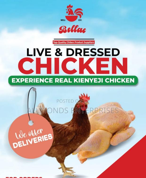 Live Dressed Kienyeji Chicken - main view