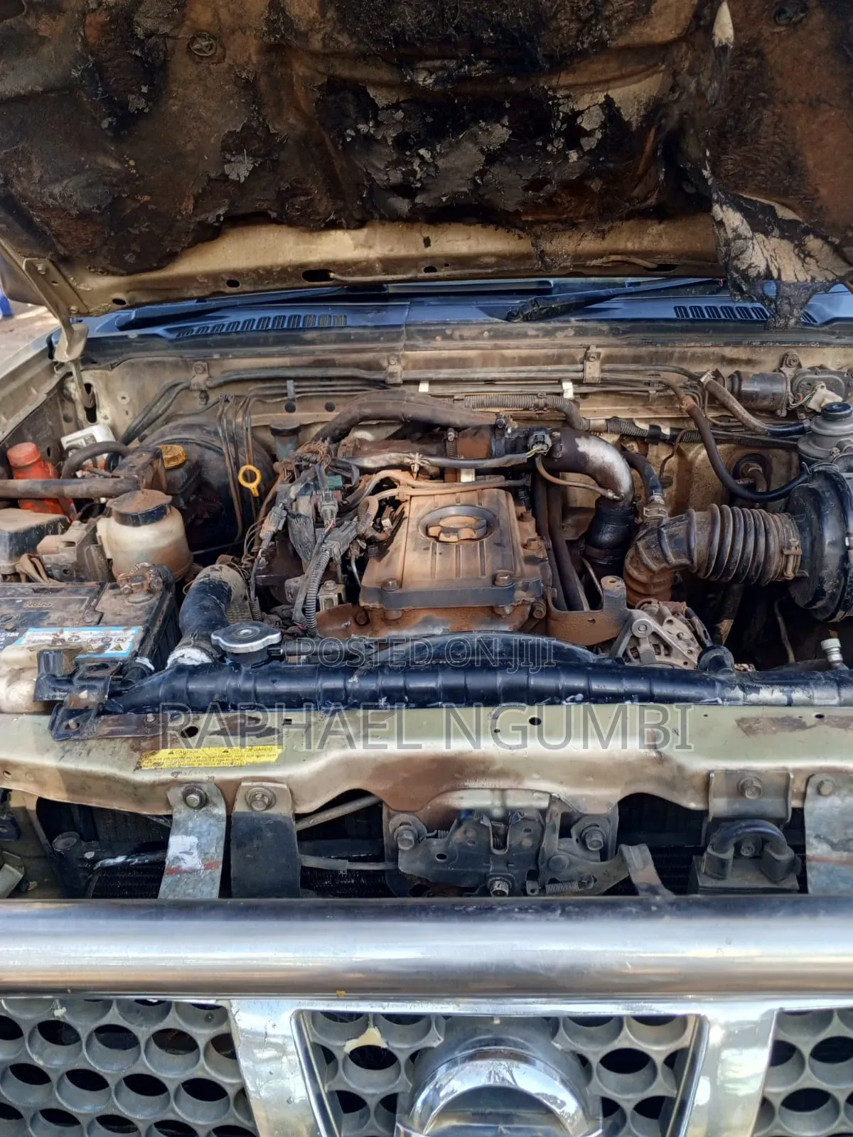 Nissan Navara 1999 Gold