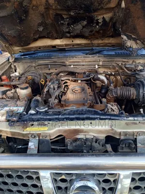 Nissan Navara 1999 Gold