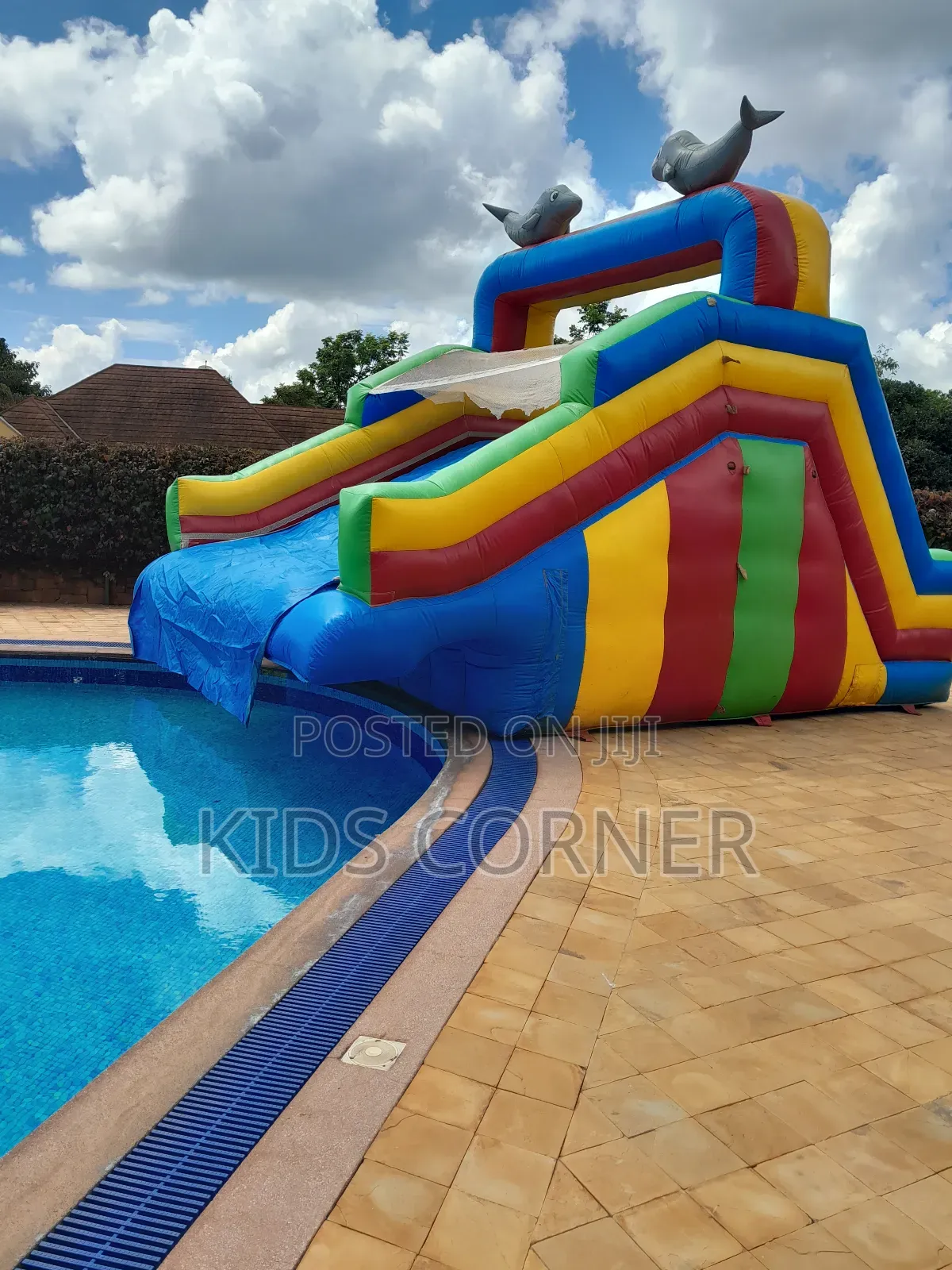 Dolphin Water Slide to Pool – Splash Fun for Kids!
