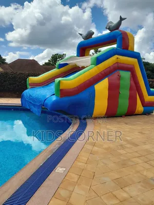 Dolphin Water Slide to Pool – Splash Fun for Kids!