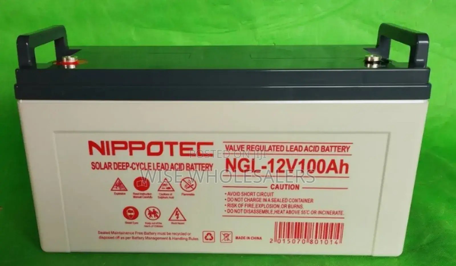 Nippotec  100ah Solar Battery