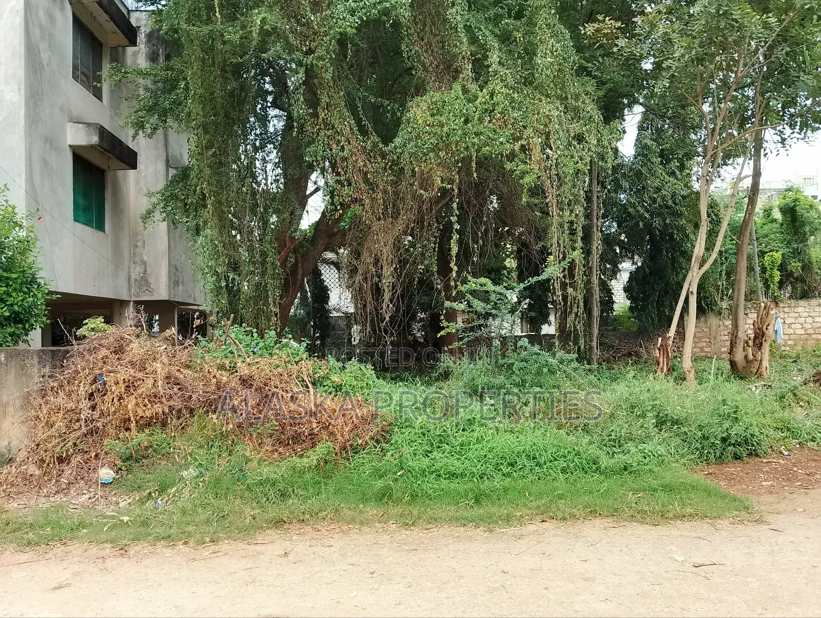 1/8 Acre Prime Plot for Sale in Beach Road Gichaga Estate
