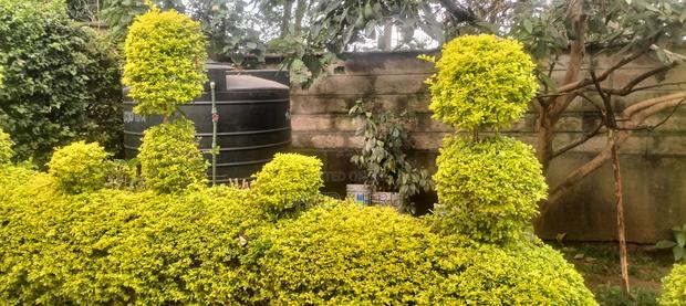4bdrm Maisonette in Balozi, Muthaiga for sale - thumbnail 2