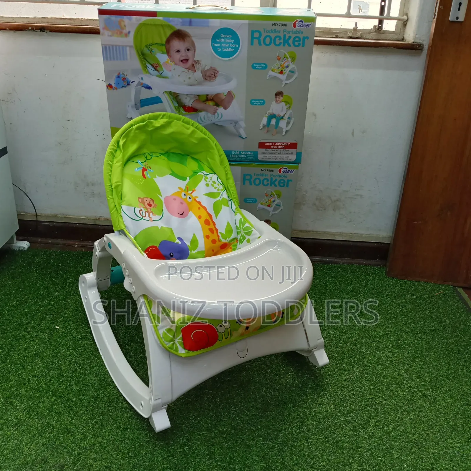 Newborn to Toddler Rocker