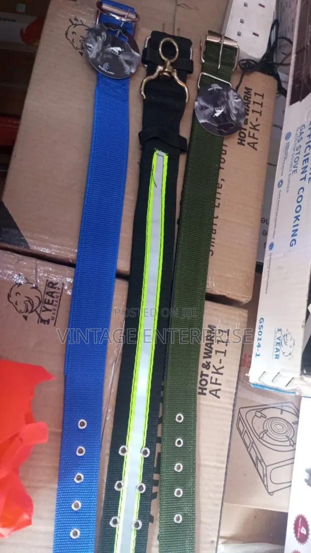 Dog Collar - main view