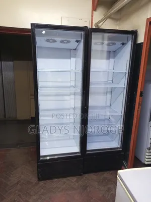 Perfect Working Chiller, Affordable , Working Condition