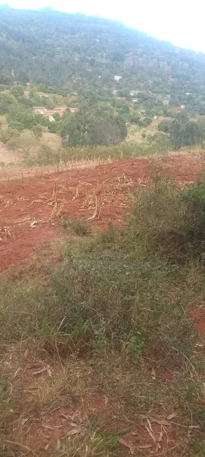 1/4 Acre Machakos -mukuyu