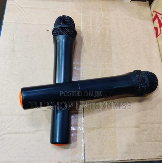 *Tagwood Additional Wireless Microphone