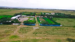 Good Views, 50 by 100 Plots ,Naivasha, 1.3km From Tarmac