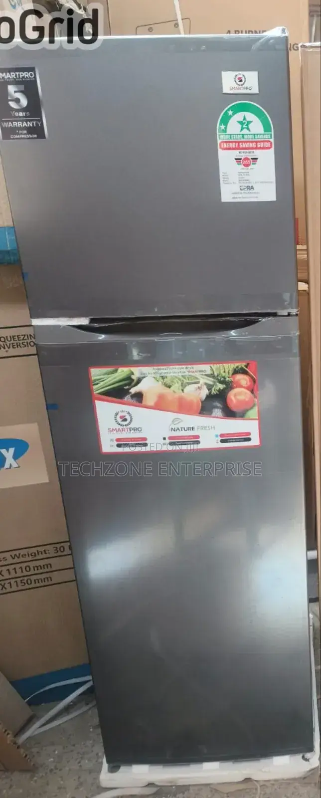 Roch 170l Direct Cool Double Door Fridges (Rfr-210-Dt-I)