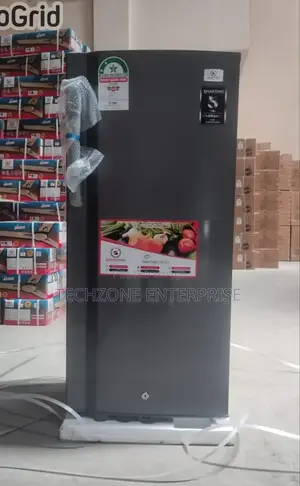 Roch (Rfr-190s-I,) 150 Liters Single Door Fridge - Silver