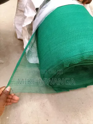 Scaffolding Safety Net