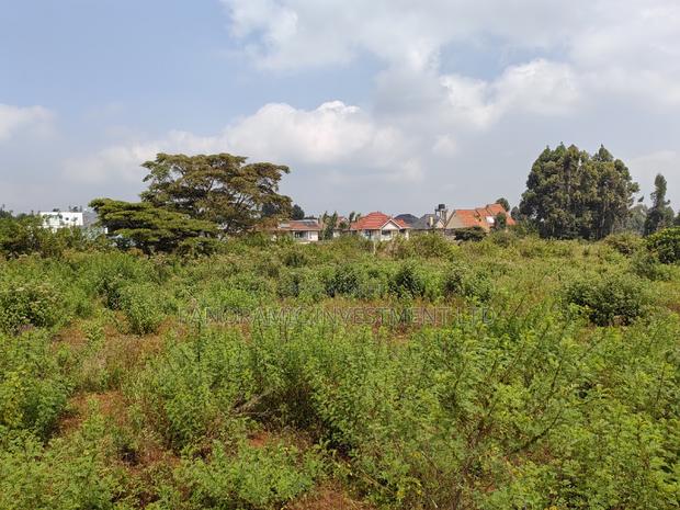 Half Acre Land for Sale in Gikambura Kiambu. - main view