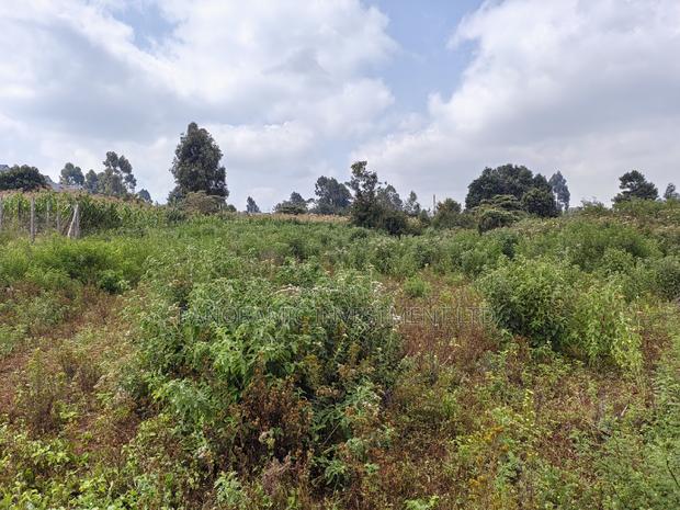 Half Acre Land for Sale in Gikambura Kiambu. - thumbnail 3