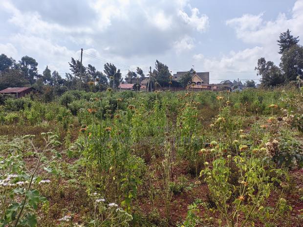 Half Acre Land for Sale in Gikambura Kiambu. - thumbnail 4