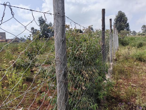 Half Acre Land for Sale in Gikambura Kiambu. - thumbnail 7