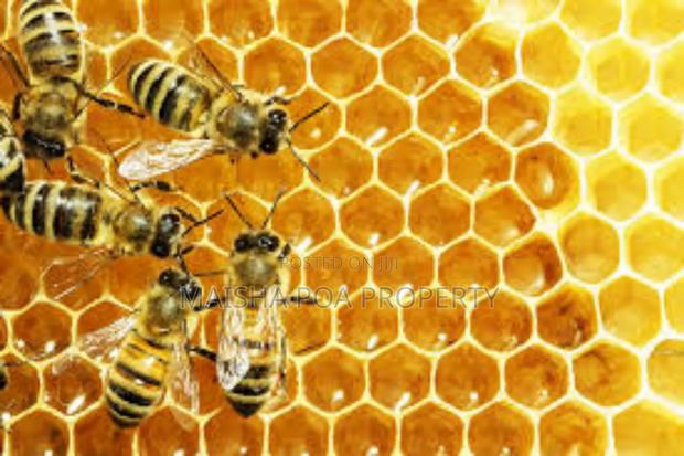 Modern Bee Hives - thumbnail 3