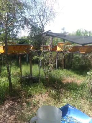 Modern Bee Hives