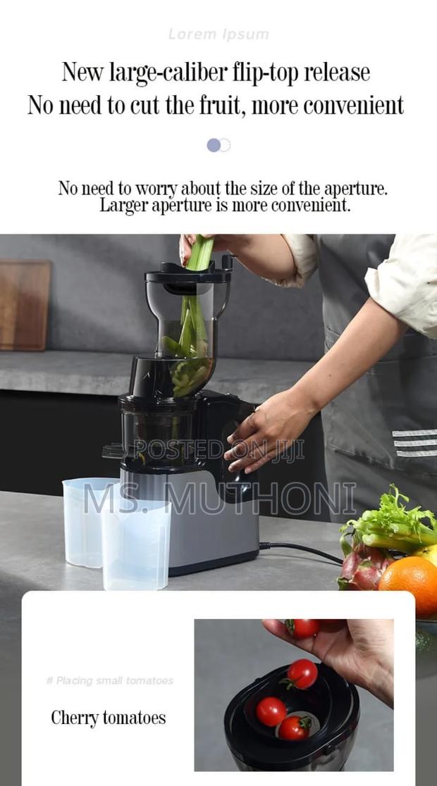 Quality New Design Slow Juicer - thumbnail 2