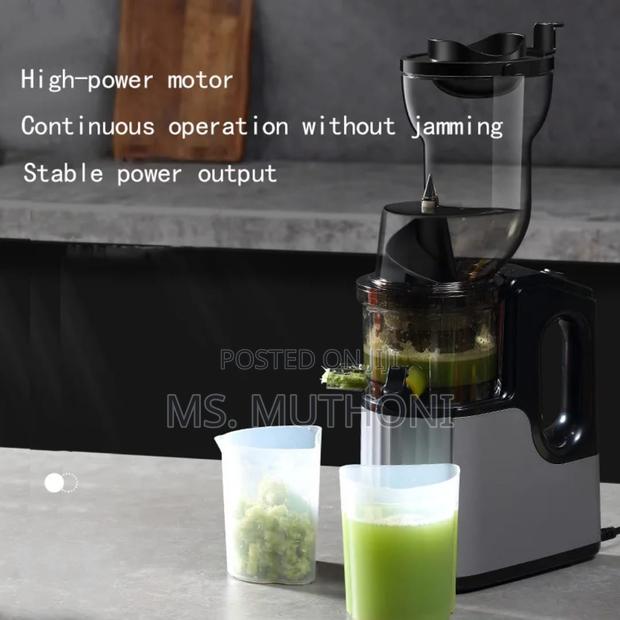 Quality New Design Slow Juicer - thumbnail 3