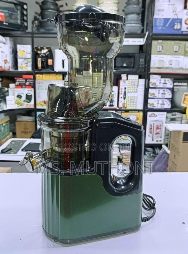 Quality New Design Slow Juicer - thumbnail 4