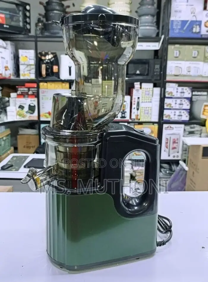 Quality New Design Slow Juicer
