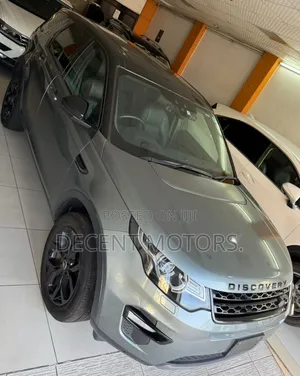 Rover Land 2017 Gray