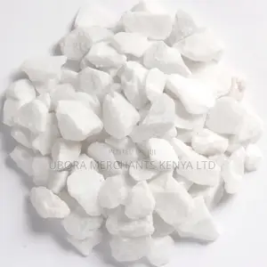 Terazzo White Chips 1/4