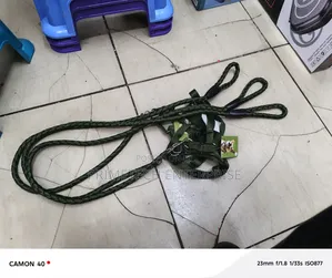 Dog Leash and Harness